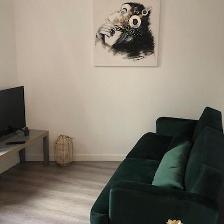 Apartament Un Coin De Verdure Dans Le Centre De St Etienne Saint-Etienne  Zewnętrze zdjęcie