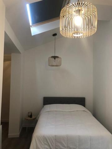 Apartament Un Coin De Verdure Dans Le Centre De St Etienne Saint-Etienne  Zewnętrze zdjęcie
