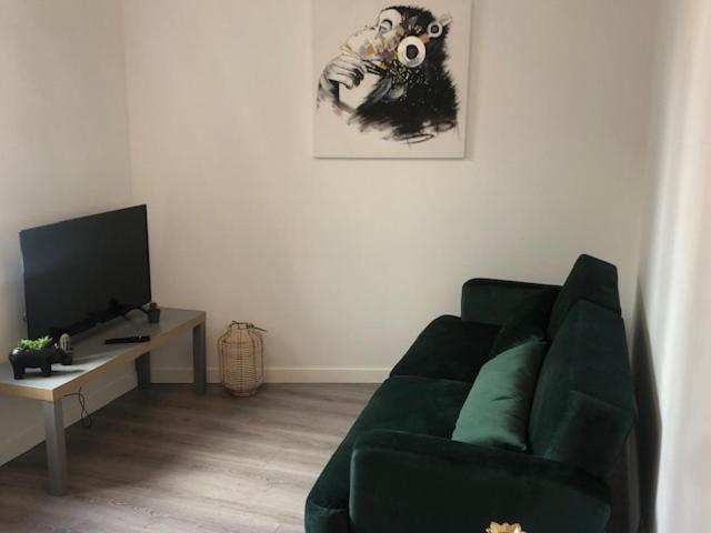 Apartament Un Coin De Verdure Dans Le Centre De St Etienne Saint-Etienne  Zewnętrze zdjęcie