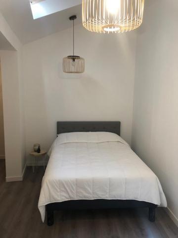 Apartament Un Coin De Verdure Dans Le Centre De St Etienne Saint-Etienne  Zewnętrze zdjęcie